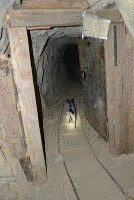 İç mekan 0