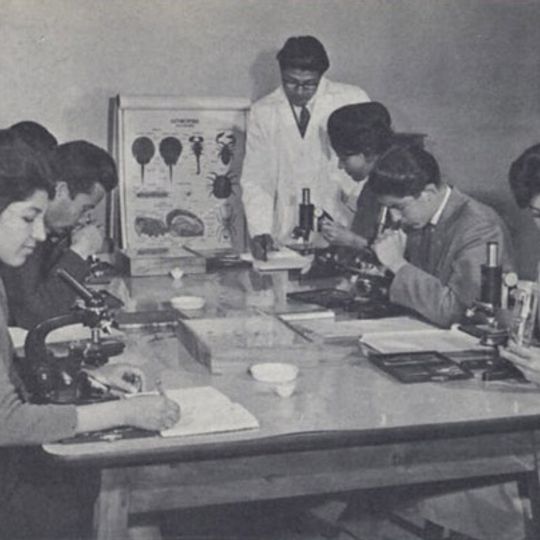 Kabul University