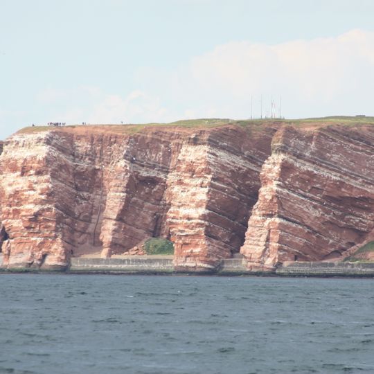 Lummenfelsen der Insel Helgoland