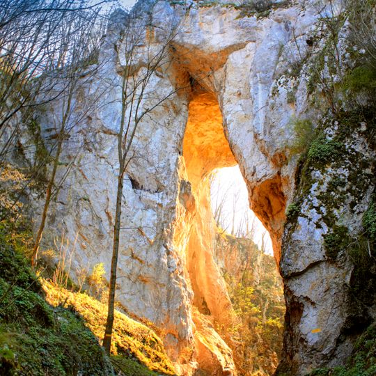 Ваља прераст