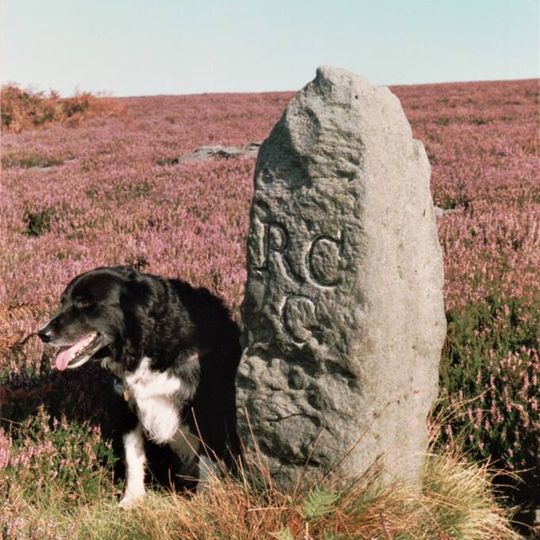 Boundary Stone, Circa 1,020 Metres North Of Skelderskew Farmhouse