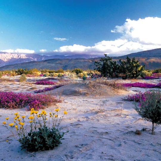 Fish Creek Mountains Wilderness
