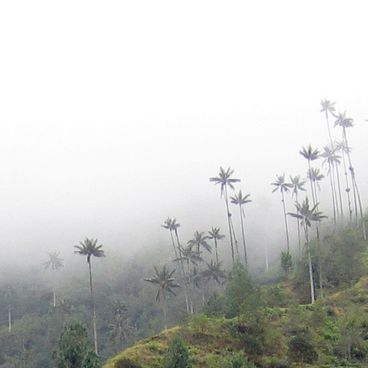 A Colômbia de uma forma diferente: caminhos de montanha, arquitetura colonial e paisagens extremas