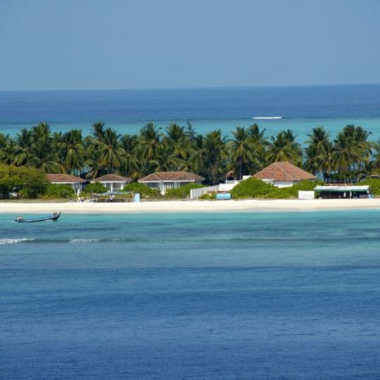 Aminidivi
