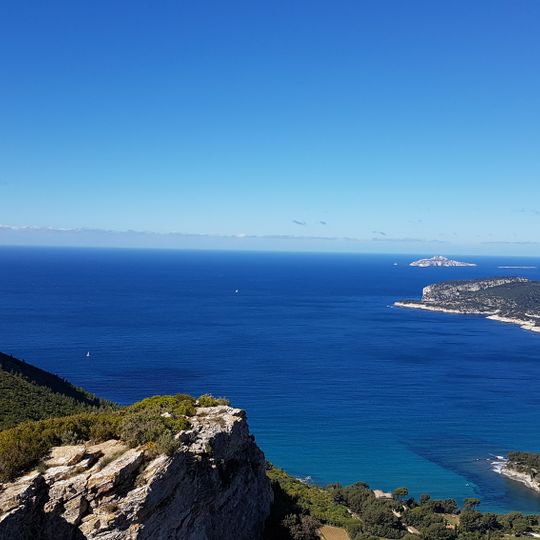 Punto di vista panoramico