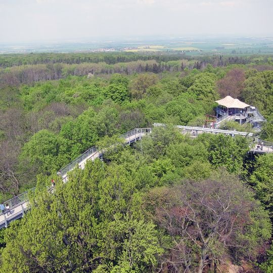 Hainich