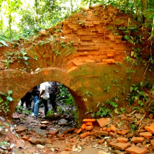Chilapata Forests