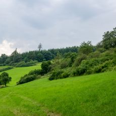 Naturschutzgebiet Happenberg-Krausenberg-Dunetal