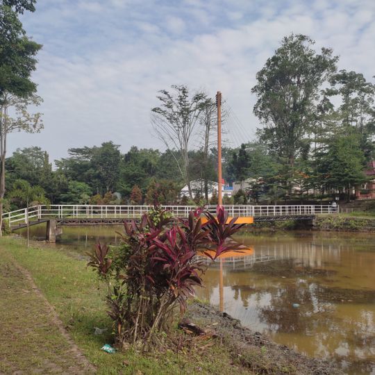 Jambi University