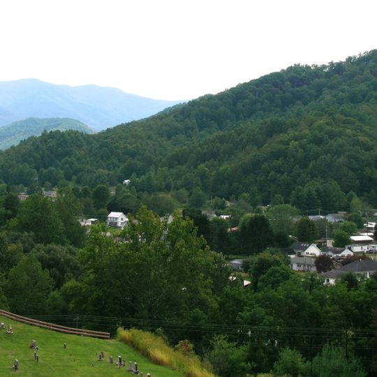 Roan Mountain