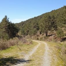 Real Sitio de San Ildefonso-El Espinar