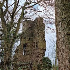 Burg Luttelnau (Kattenturm)