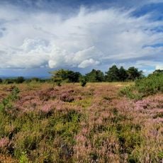Réserve naturelle régionale Mont des Avaloirs