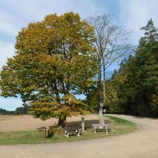 Kříž na křižovatce mezi Vítonicemi a Blažejovicemi