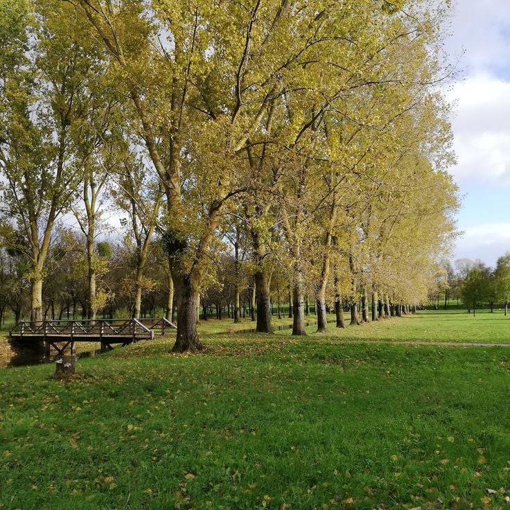 Parc Balzac