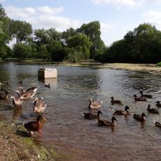 Lünischteich