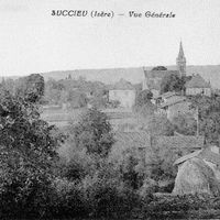 Succieu
