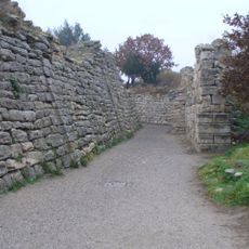 Troia VII