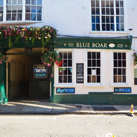Blue Boar
