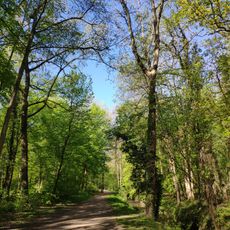 Forêt Départementale de Bellejame