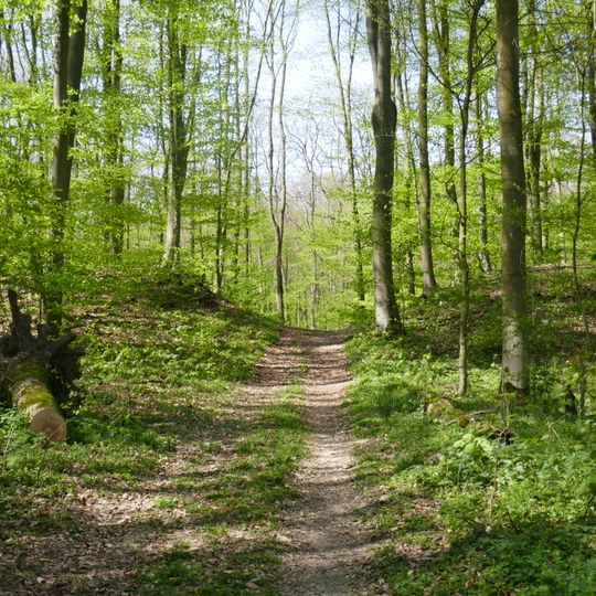 Altenautal, Nonnenbusch