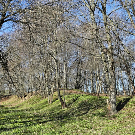 Городище «Боголюбово»