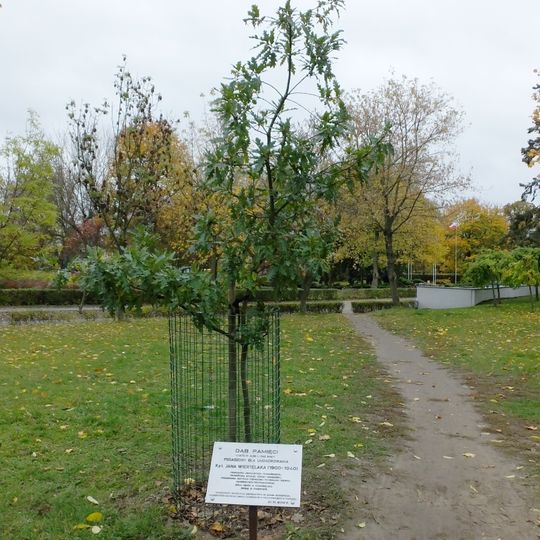 Dąb Pamięci Jana Wiertelaka