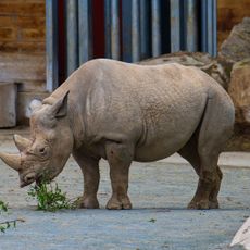Dětská zoo