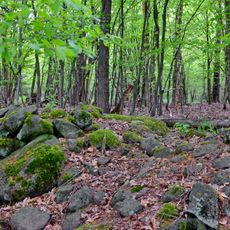 Špičák u Vojkovic