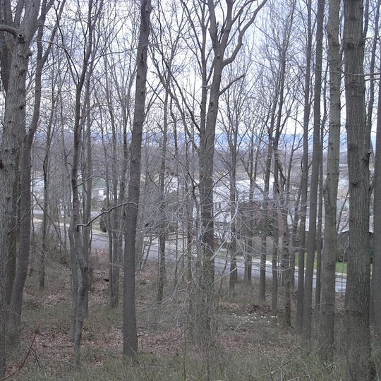 Todt Hill