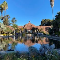 Lily Pond