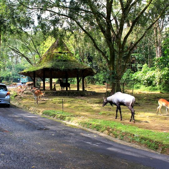 Taman Safari Indonesia