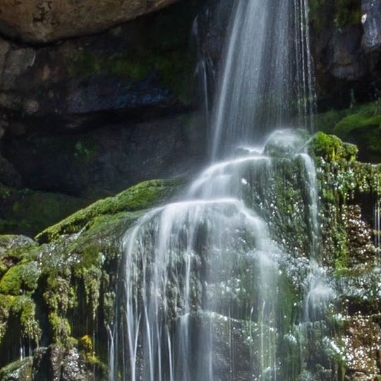 Distretto regionale di East Kootenay