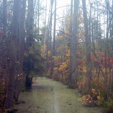 Nature reserve Głęboki Kąt