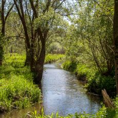 Schutz des Landschaftsraumes im Gebiet des Landkreises Roth - Südliches Mittelfränkisches Becken östlich der Schwäbischen Rezat und der Rednitz mit Vorland der Mittleren Frankenalb (LSG Ost)