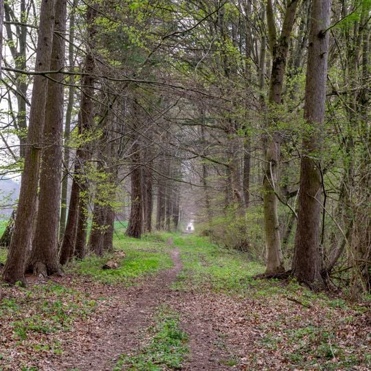 LSG-Bachtal am Luedershof