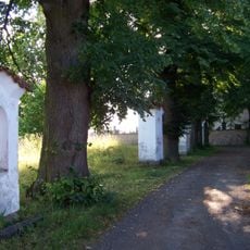 Lipová alej ve Slivici