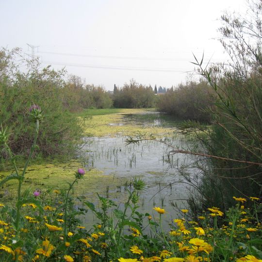 Zeita swamp nature reserve