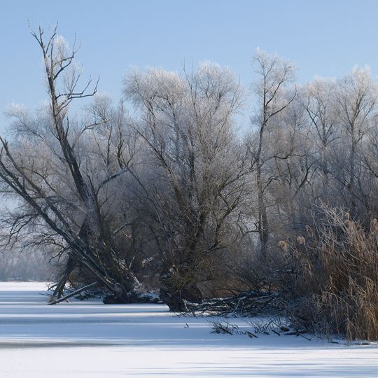Donau zwischen Regensburg und Straubing