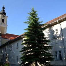 Františkánsky kláštor, konvent