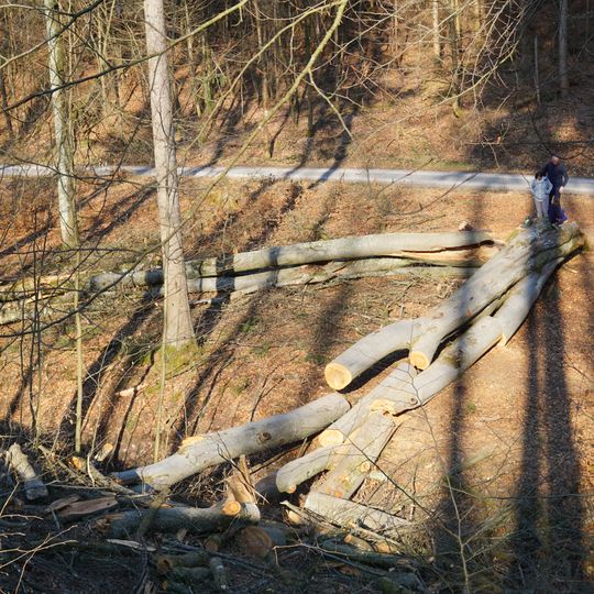 3 Brunnen u. Rotbuche am Hummelrain