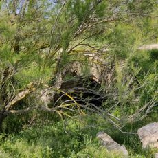 Puente en Jerez sobre el arroyo del Carrillo