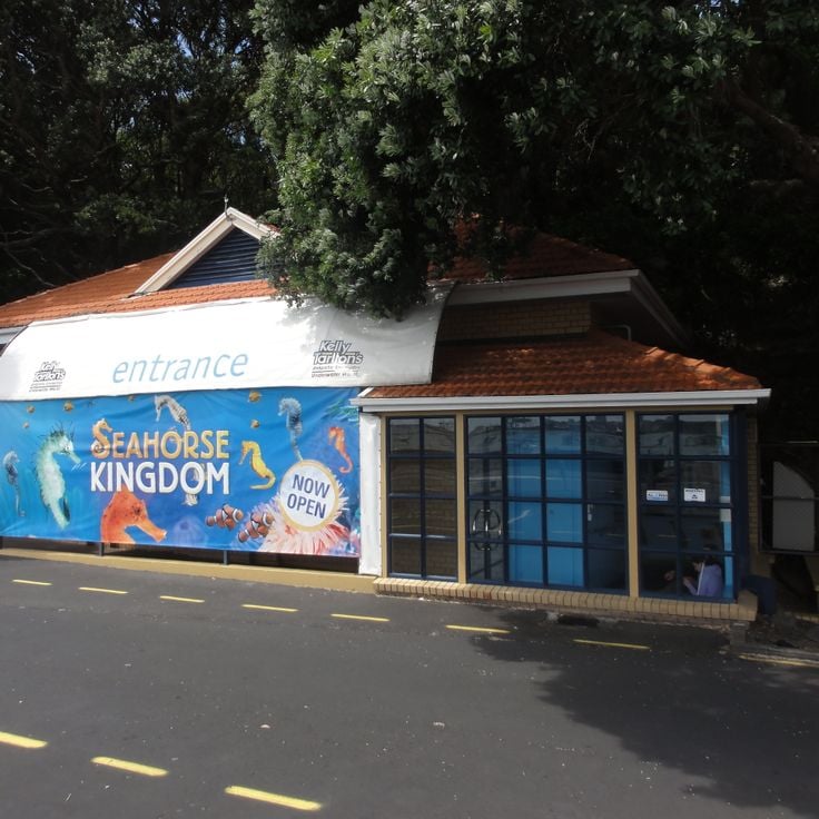 Aquario Kelly Tarlton's Sea Life