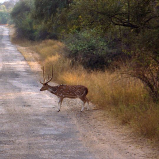 Parco nazionale di Sariska