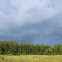 Рабочий посёлок Лесогорск