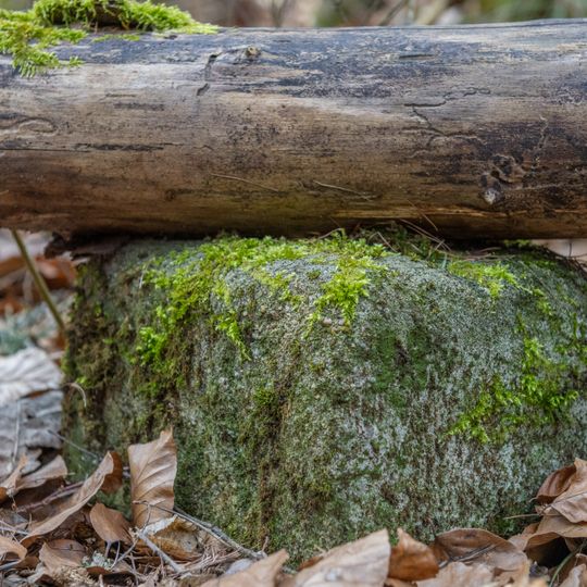 Grenzstein Tränkweiher in Fürth