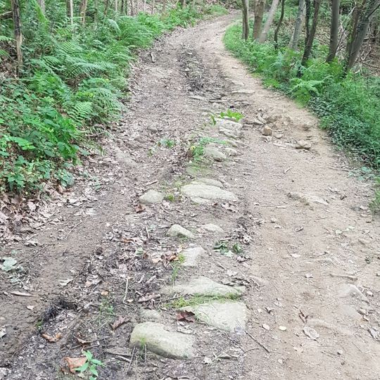 Calzada Del Caserío Zugasti