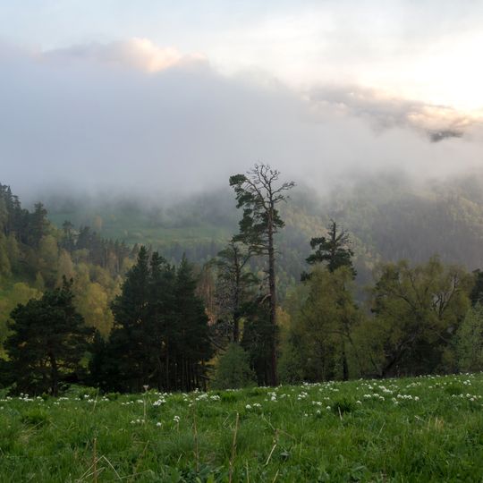 Caucasus mixed forests