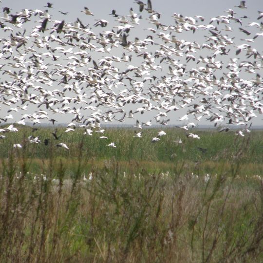 Jocelyn Nungaray National Wildlife Refuge
