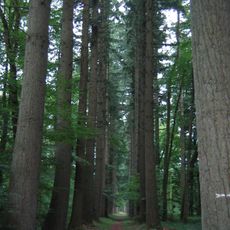 Arboretum De Vendresse